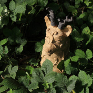 Mitouflis du chevreuil camouflé